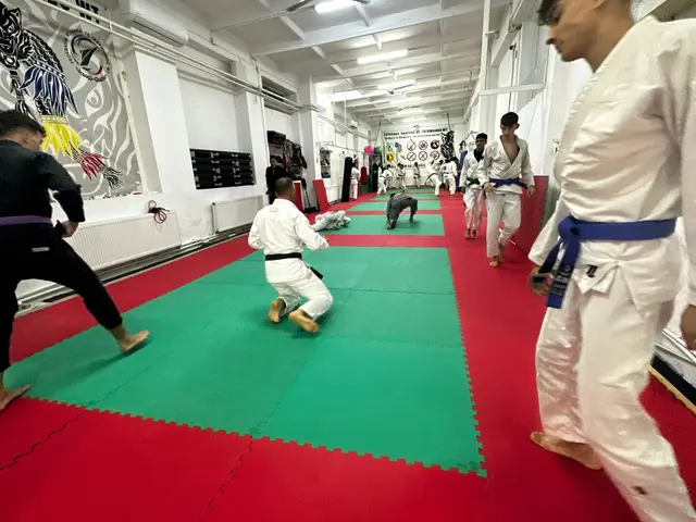 Marina Constanta centru national Ju Jitsu