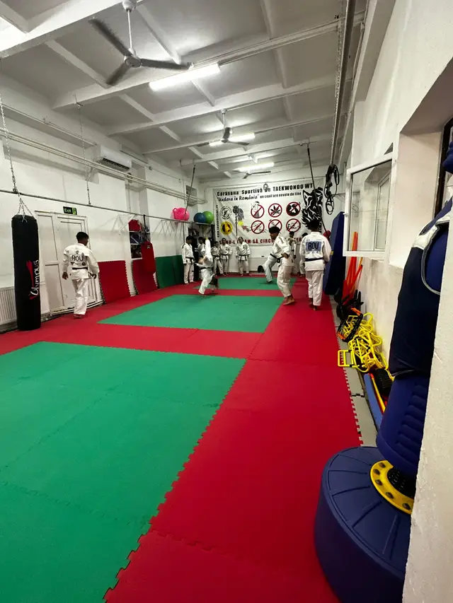 Marina Constanta centru national Ju Jitsu
