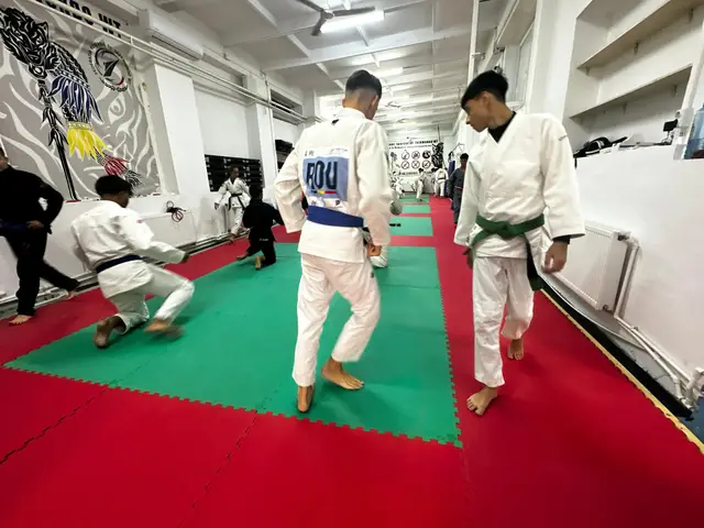 Marina Constanta centru national Ju Jitsu