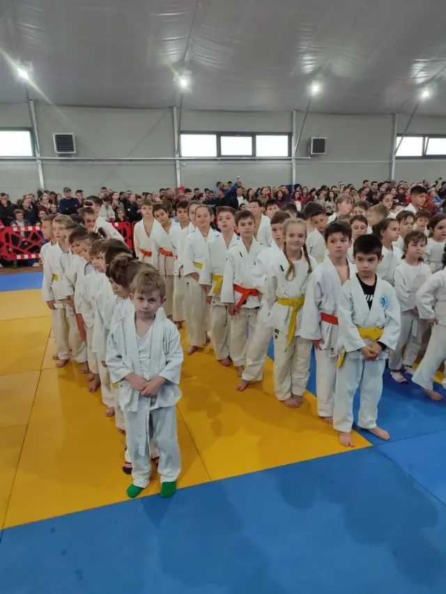 Marina Judo domina Cupa AMV
