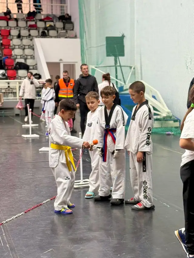 Marina domina Cupa Romaniei Taekwondo WT
