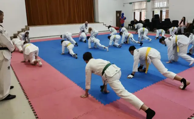 evaluare grade taekwondo wt