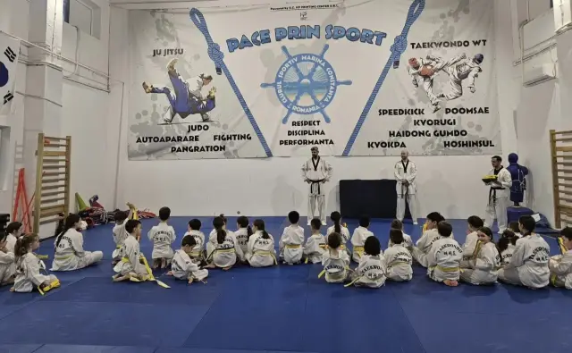 evaluare grade taekwondo wt