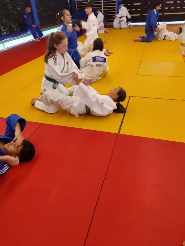 pantheon judo stage 2026