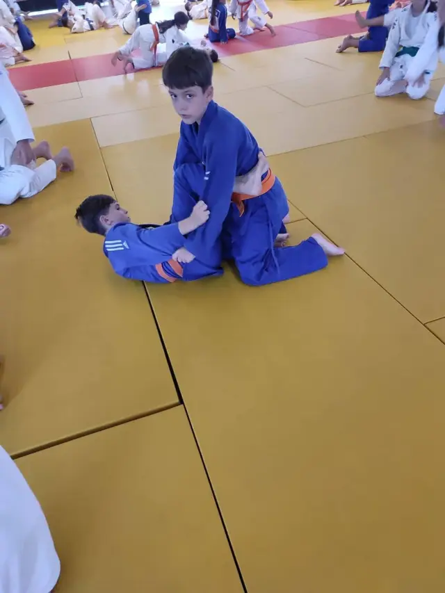 pantheon judo stage 2026