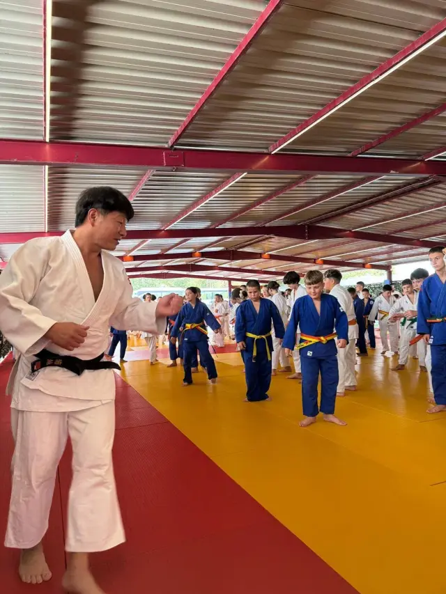 pantheon judo stage 2026