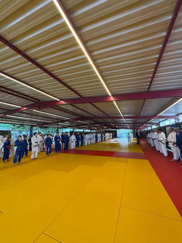 pantheon judo stage 2026